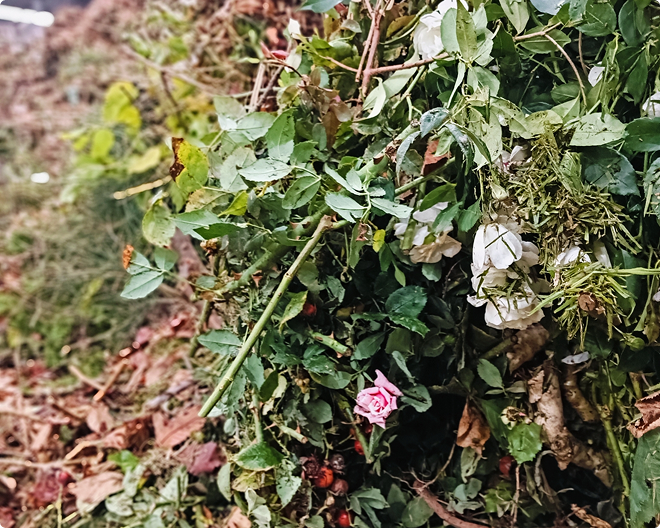 Organic Waste Processing